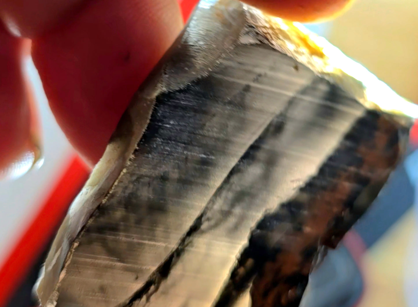 Silver Sheen and Mahogany with Striped Translucency- 80g